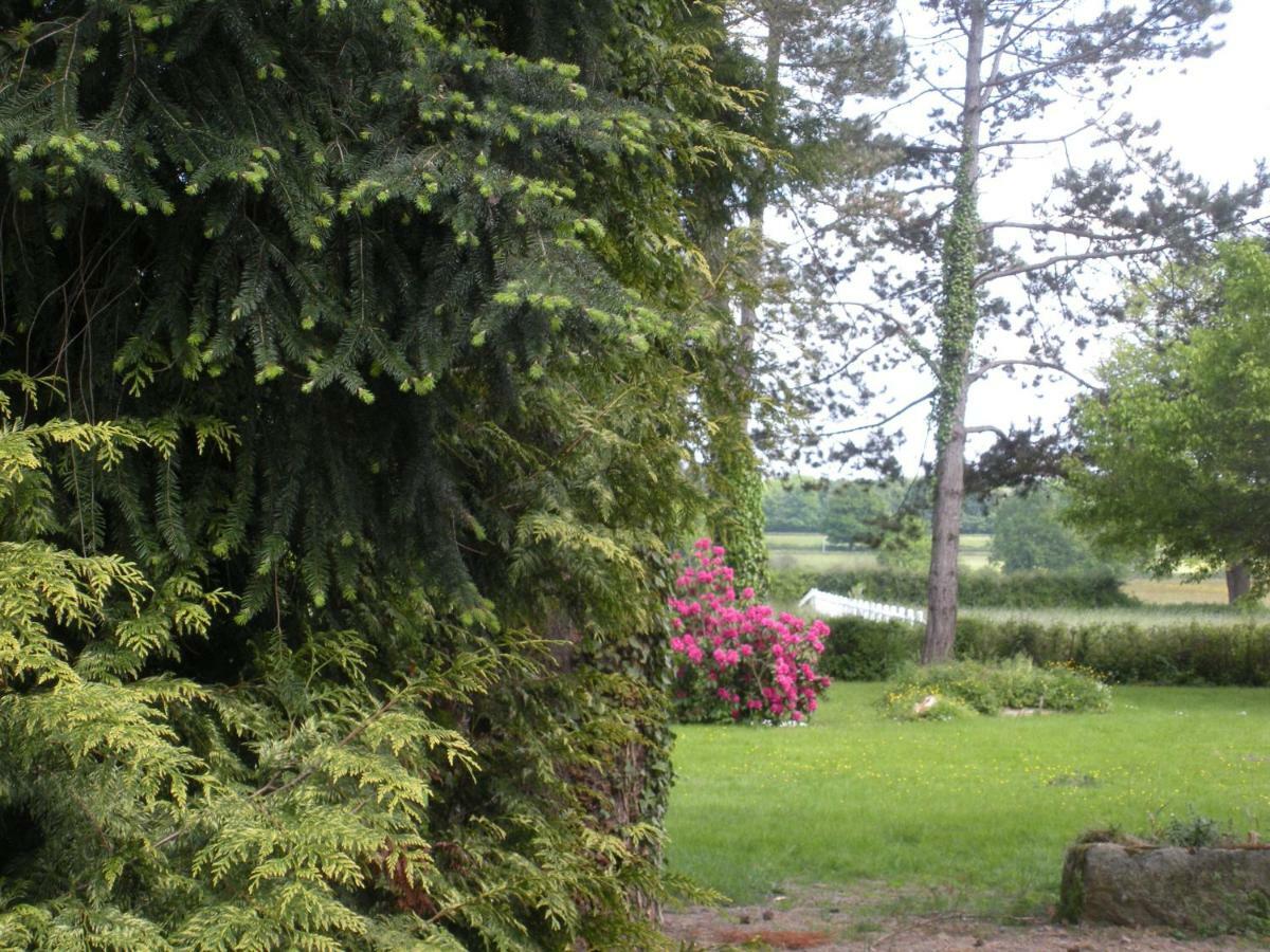 Le Domaine Du Mijarnier Bed and Breakfast Montbeugny Buitenkant foto